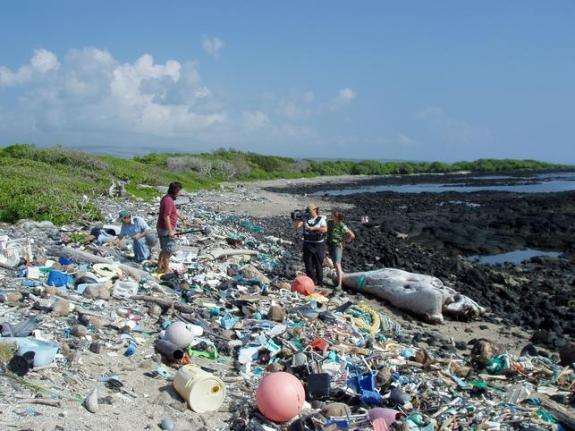 3d-printing-robot-designed-to-keep-beaches-clean2