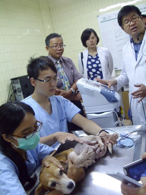 taiwanese-university-3dprinted-animal-prosthetics-1