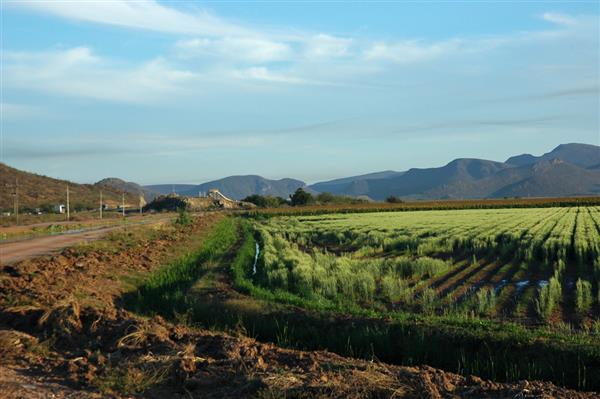 engineering-student-develops-low-cost-3d-printed-crop-monitoring-drone-family-farm-00005