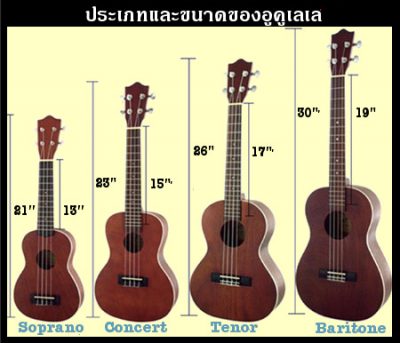 ck-Ukulele-types