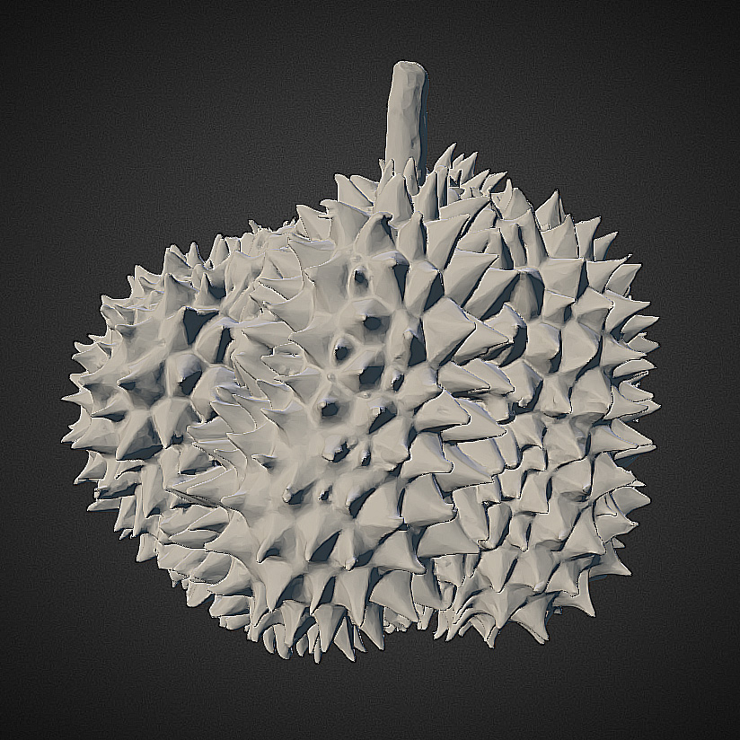 EinScan : 3D Scan Durian