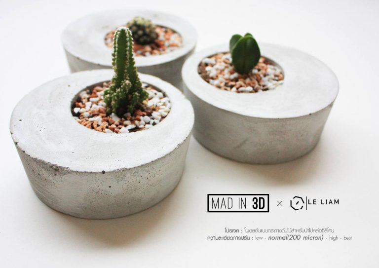 Read more about the article ผลงานจาก MAD IN 3D