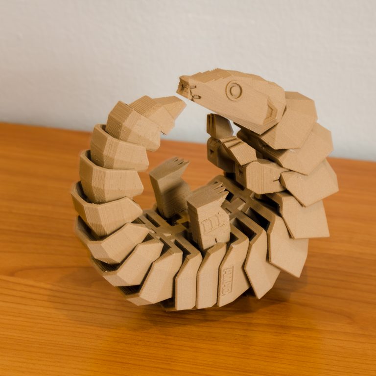 Read more about the article Save Pangolin ตัวนิ่มที่น่ารัก