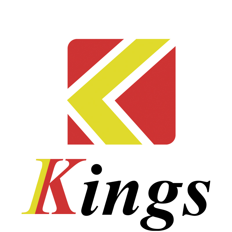 Kings Professional SLA printer