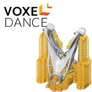Voxel Dance