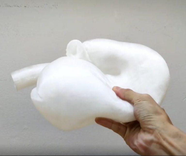 Read more about the article พิมพ์กระเพาะหมูนุ่มนิ่มด้วย Flexible Filament