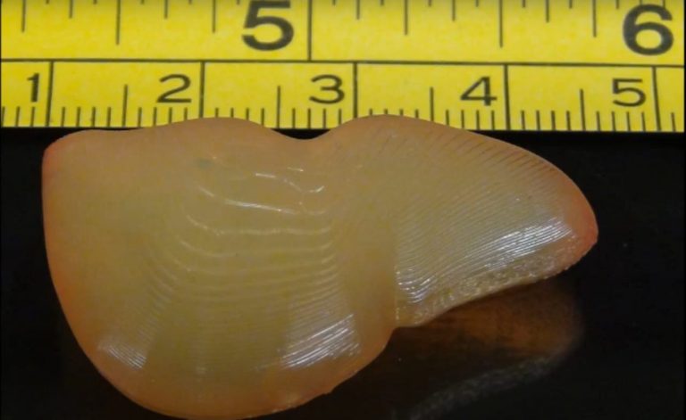 Read more about the article นักวิจัยโชว์การพิมพ์ตับHi-Speed resin hydrogel