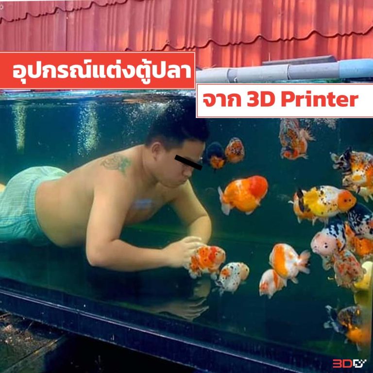 Read more about the article Share Idea ทำอุปกรณ์แต่งตู้ปลา Aquarium จาก 3D Printer