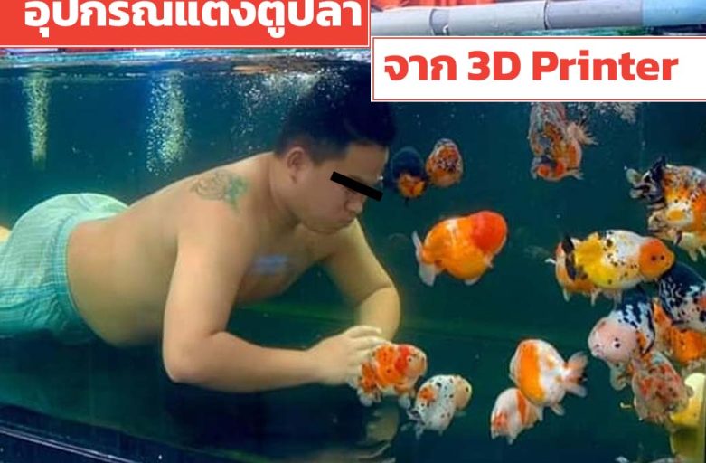Share Idea ทำอุปกรณ์แต่งตู้ปลา Aquarium จาก 3D Printer