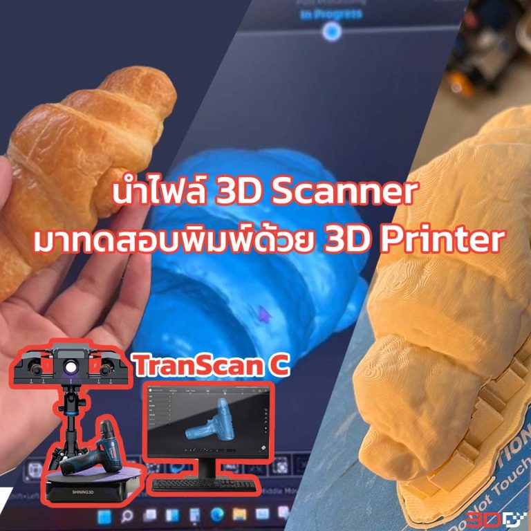 Read more about the article นำไฟล์ 3D Scanner มาลองพิมพ์งานจริง โดยไม่ผ่านโปรแกรมใดๆ