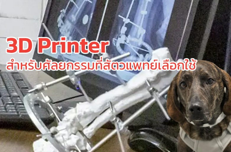 3D Printer สำหรับศัลยกรรมที่สัตวแพทย์เลือกใช้