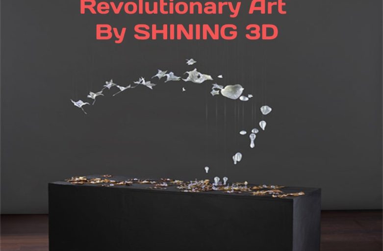 Revolutionary Art By SHINING 3D