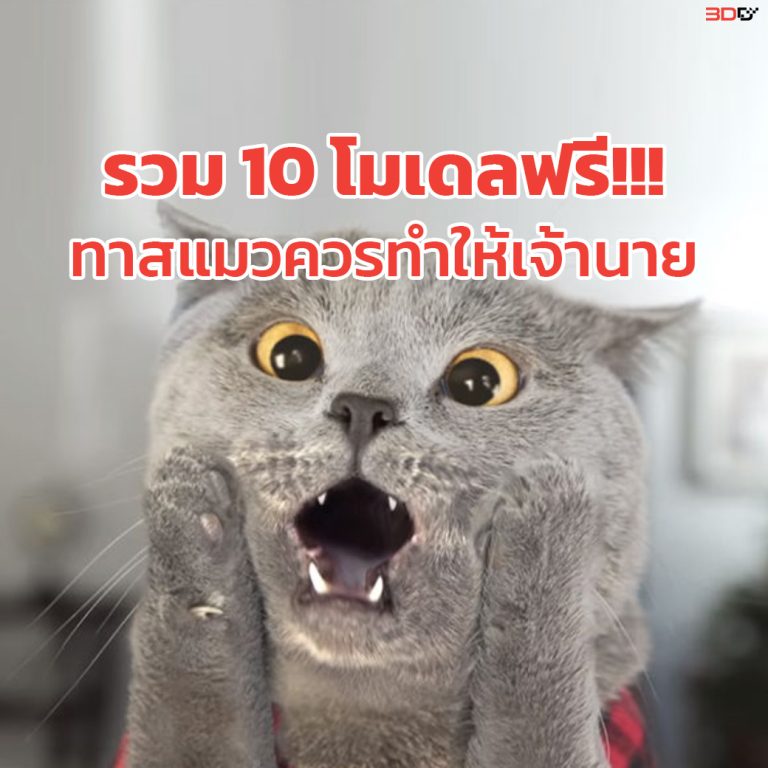 Read more about the article รวม 10 โมเดลฟรี!!! ทาสแมวควรทำให้เจ้านาย