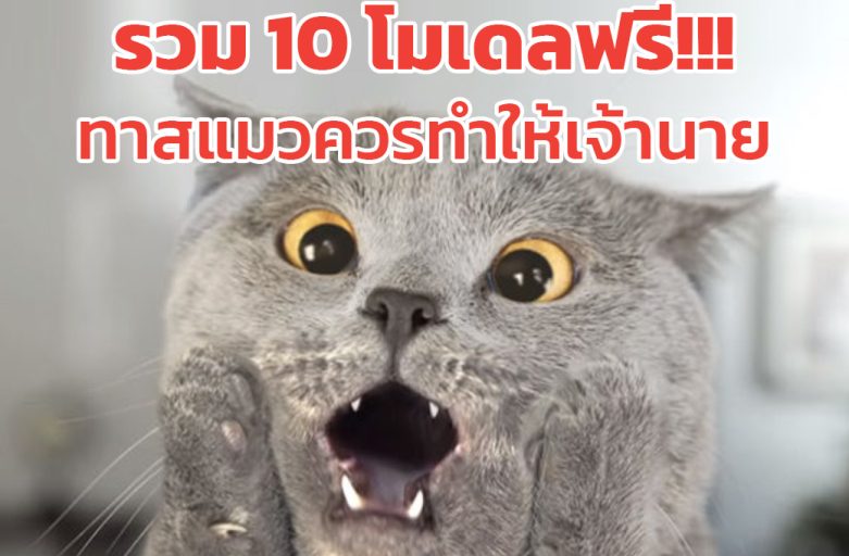 รวม 10 โมเดลฟรี!!! ทาสแมวควรทำให้เจ้านาย