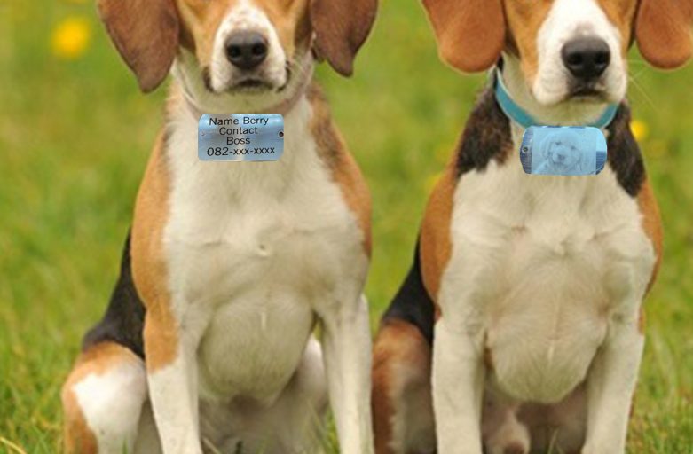 Dog collar – ทำปลอกคอสุนัขด้วยเครื่องเลเซอร์