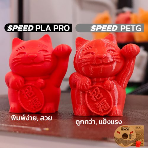 Speed PETG 1Kg 3DD Filament | เส้นไฮสปีด เพทจี 3DD - Image 3