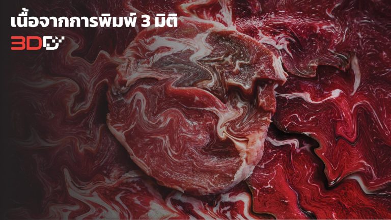 Read more about the article เนื้อพิมพ์ 3 มิติ