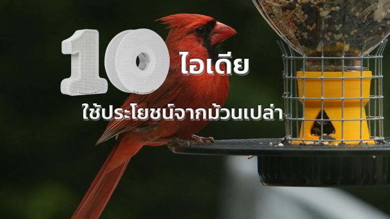 Read more about the article เปลี่ยนขยะให้เป็นของใช้: 10 เคล็ดลับสุดคูลในการใช้ประโยชน์จากม้วนเปล่าของคุณ