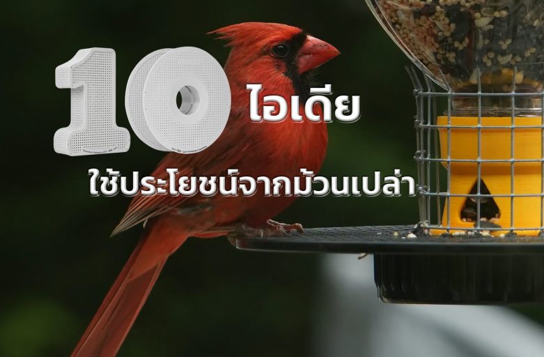 เปลี่ยนขยะให้เป็นของใช้: 10 เคล็ดลับสุดคูลในการใช้ประโยชน์จากม้วนเปล่าของคุณ